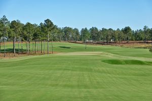 Tree Farm 9th Fairway